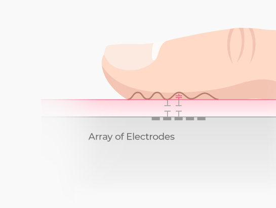 Capacitive Fingerprint Sensor