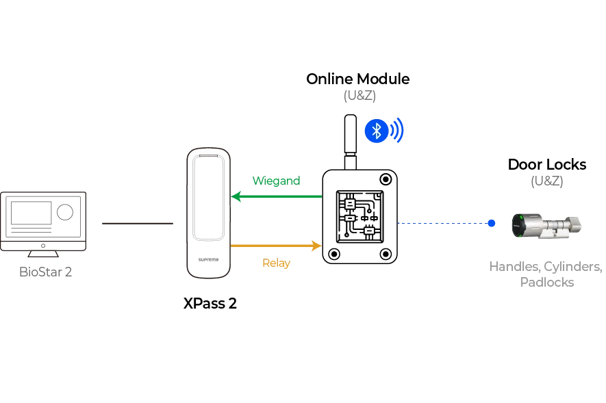 Wiegand Diagram
