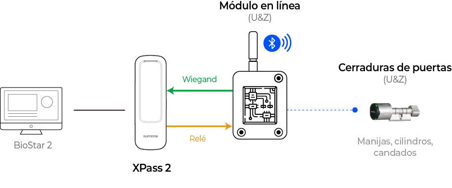 Wiegand Diagram