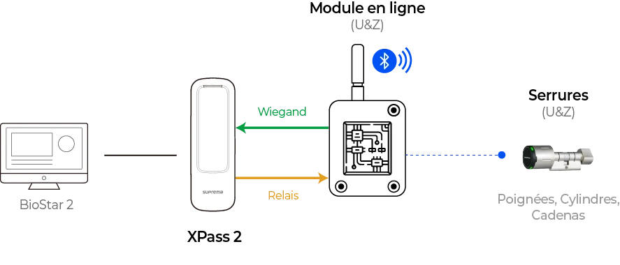 Wiegand Diagram